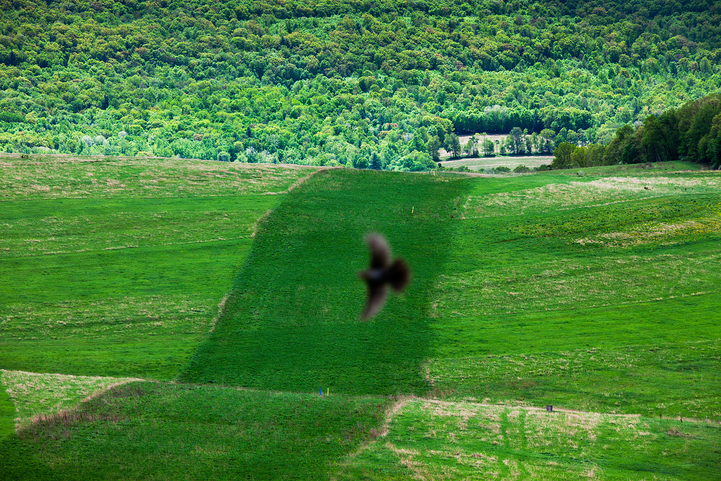 Buried gas and water pipelines extend underneath farmland near Route 973 in Watson Township, Lycoming County, Pennsylvania.